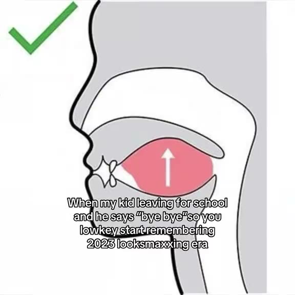 Correct mewing tongue posture diagram